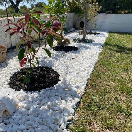 Appartamento Golden House Alexandroupoli Esterno foto