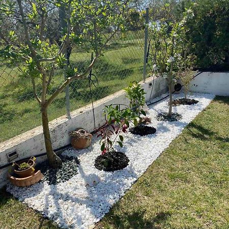 Appartamento Golden House Alexandroupoli Esterno foto