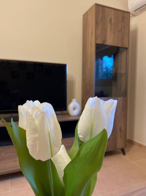 Appartamento Golden House Alexandroupoli Esterno foto