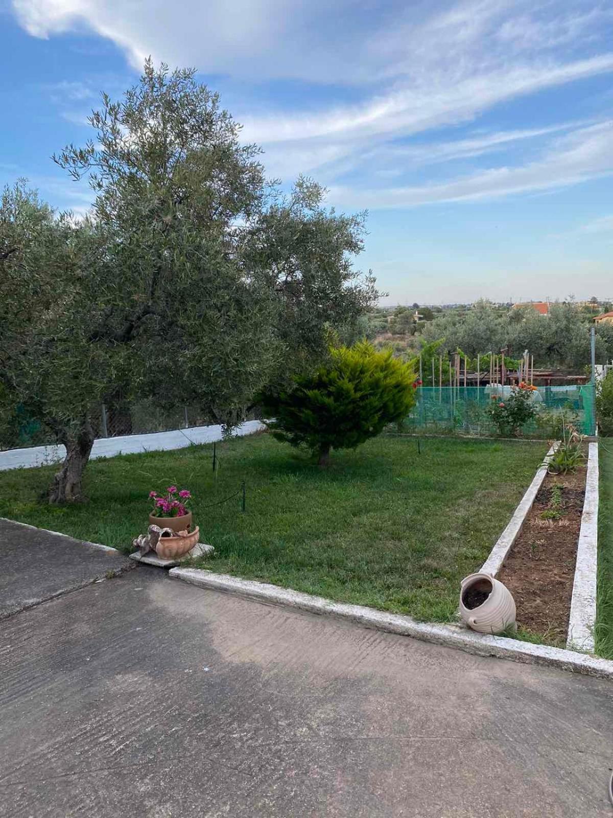 Appartamento Golden House Alexandroupoli Esterno foto
