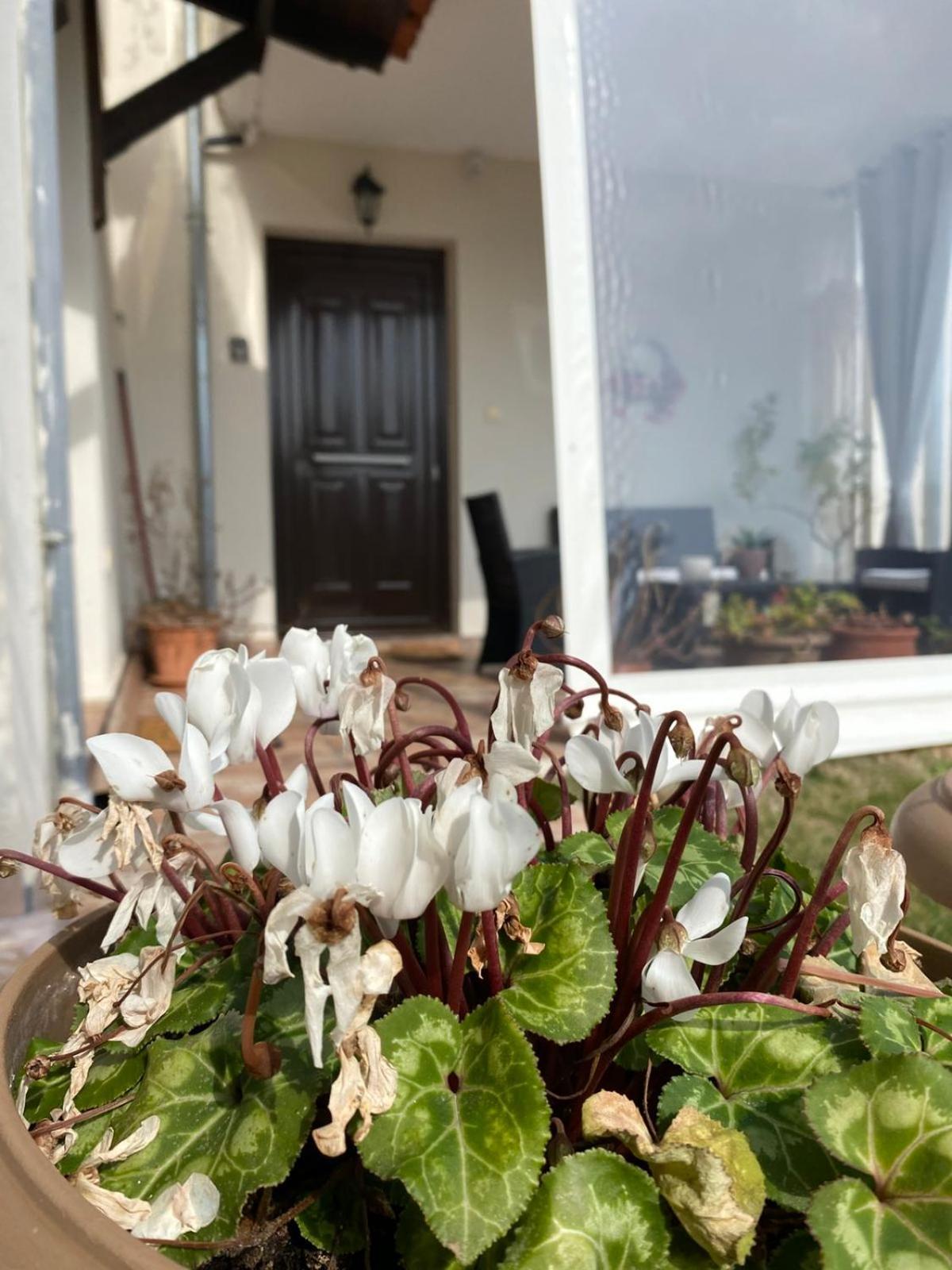 Appartamento Golden House Alexandroupoli Esterno foto