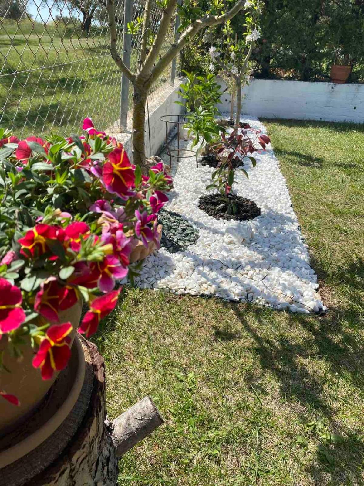 Appartamento Golden House Alexandroupoli Esterno foto