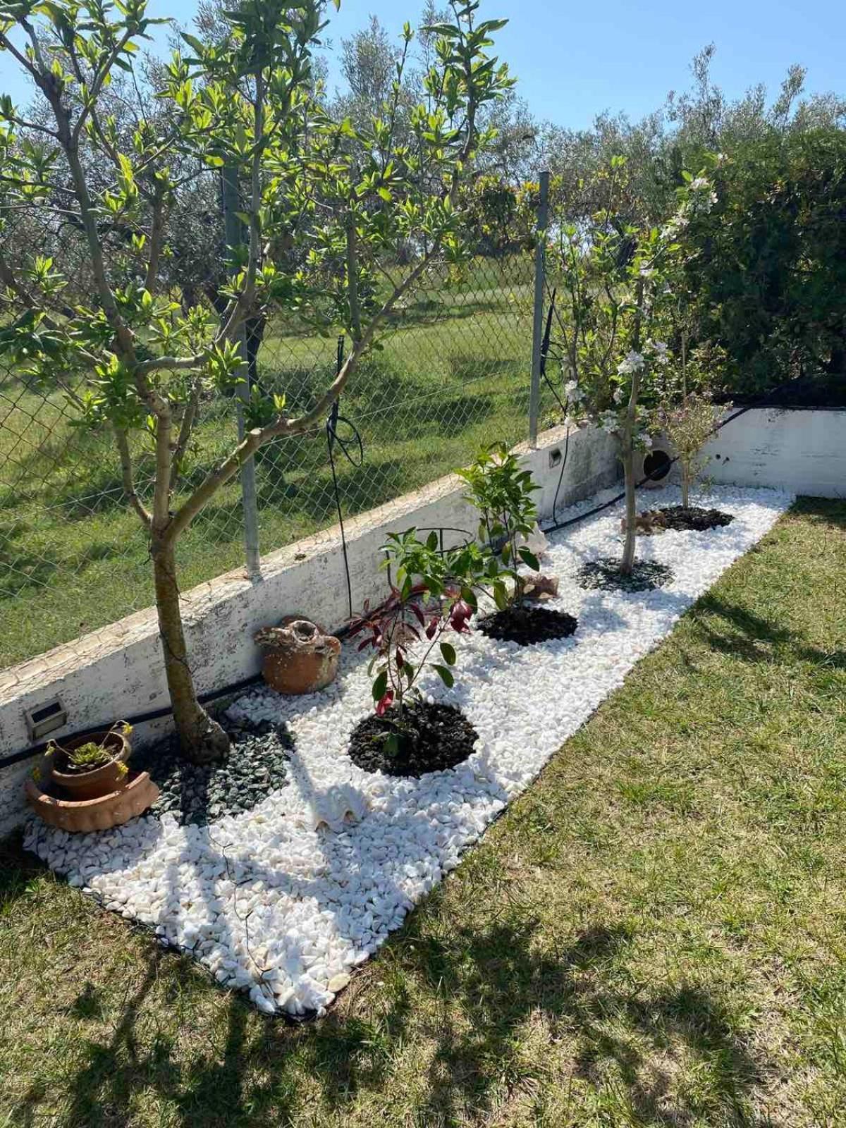 Appartamento Golden House Alexandroupoli Esterno foto