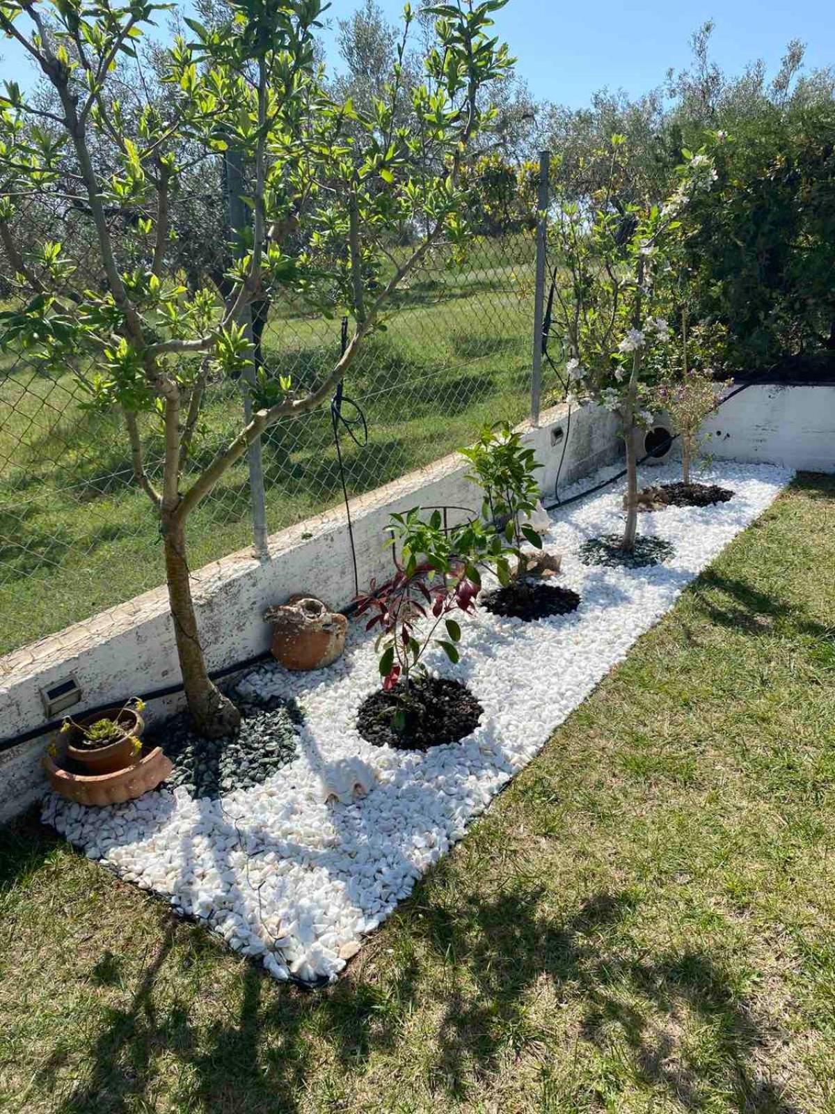 Appartamento Golden House Alexandroupoli Esterno foto